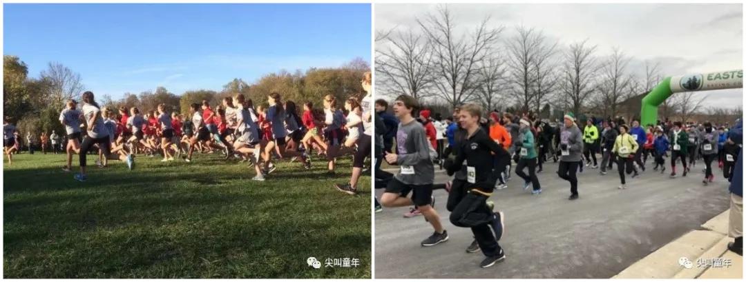 运动小达人运动时感受,运动小达人锻炼项目