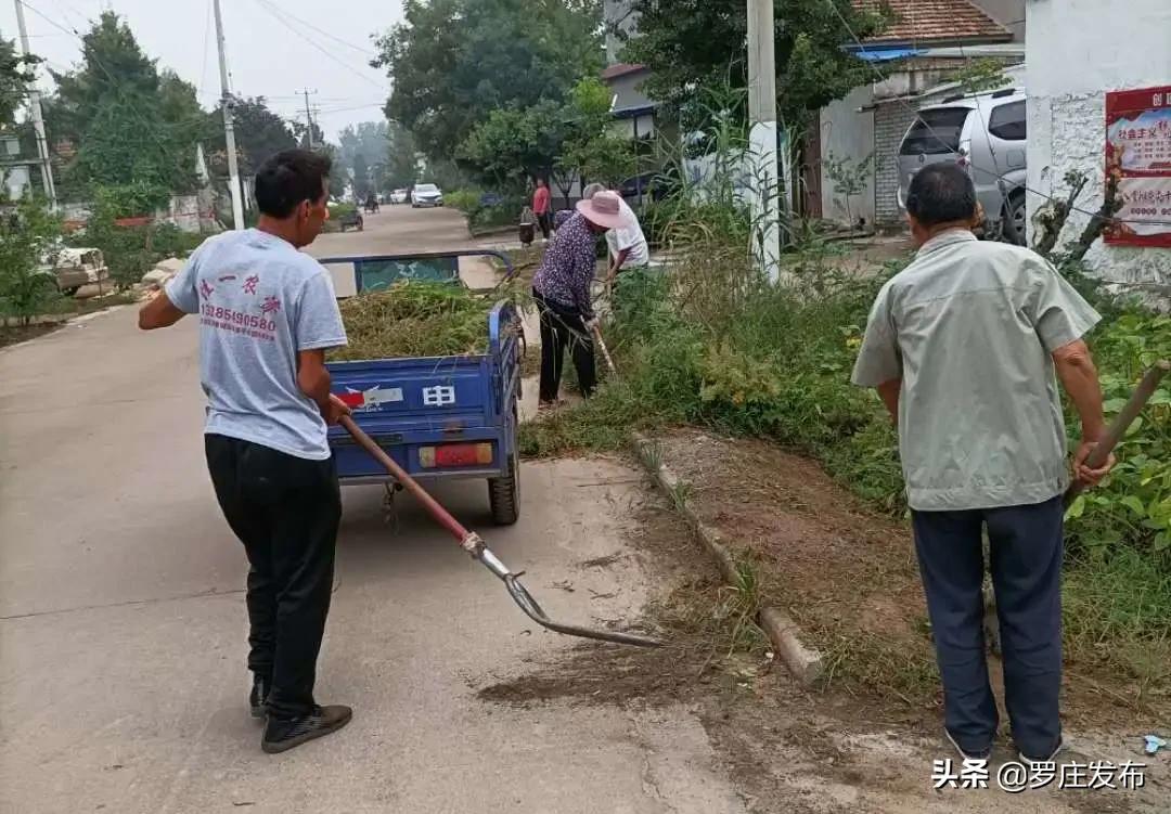 罗庄新闻决战创城,罗庄最新创城新闻