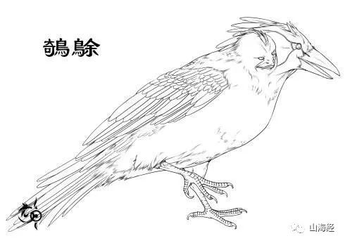 舌尖上的山海经全部视频,舌尖上的山海经洞庭鱼