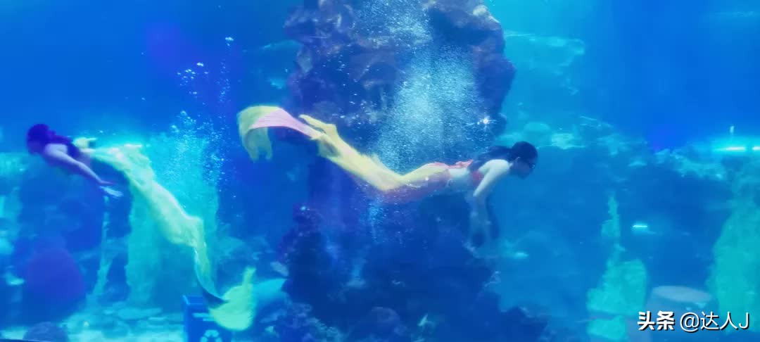 海岛上的梦幻乐园,梦幻海岛主题公园