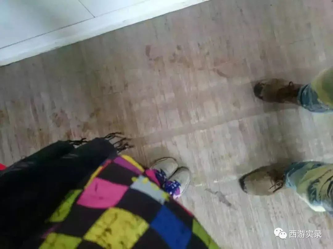 她永远离开了我小说,她永远离开了我小说在哪看