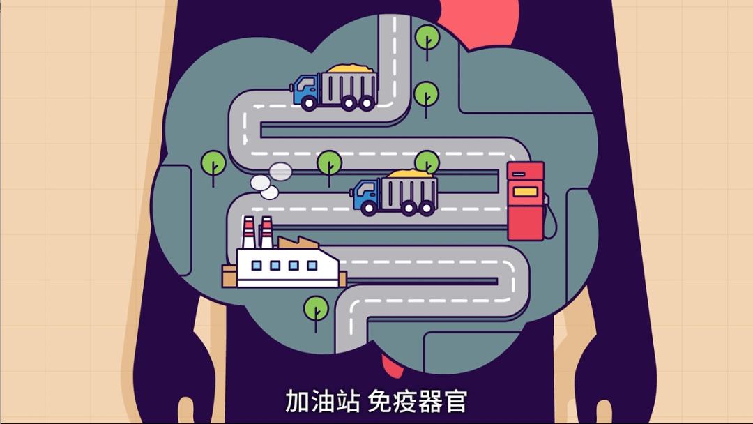 如何分辨肠道是否健康,肠道疾病怎样识别