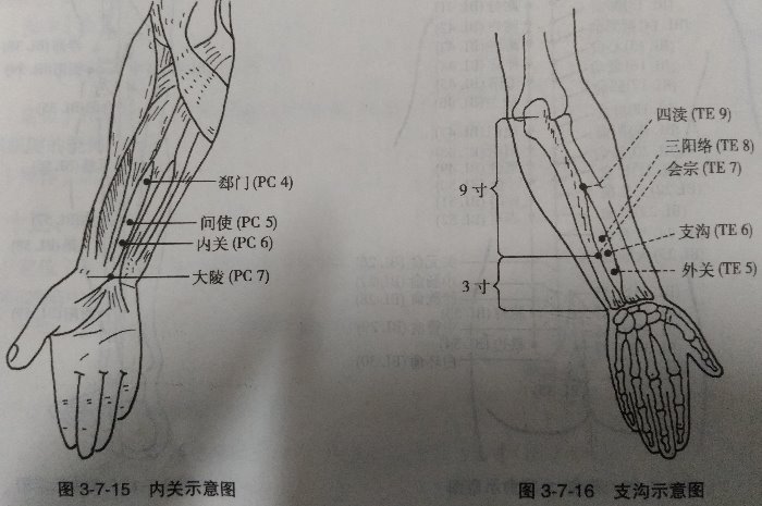 颈椎病平时怎样锻炼,颈椎病一直不好能锻炼吗