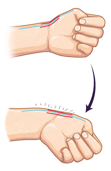 若有风骨藏于心岁月从不败美人,岁月从不败美人完整句是什么意思