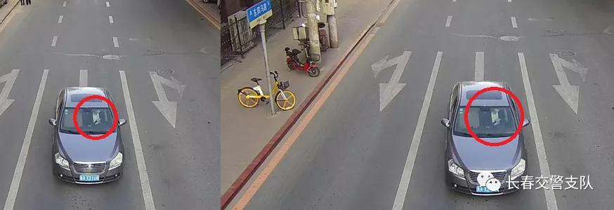 文明驾驶方便你我他,不文明停车曝光台