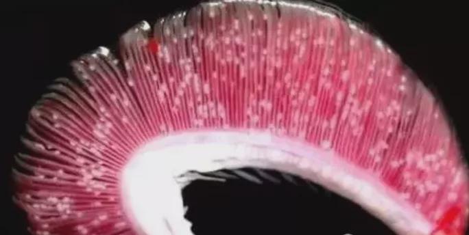 秋后猛于虎，小心这个病秋后算账，你做好准备了吗？