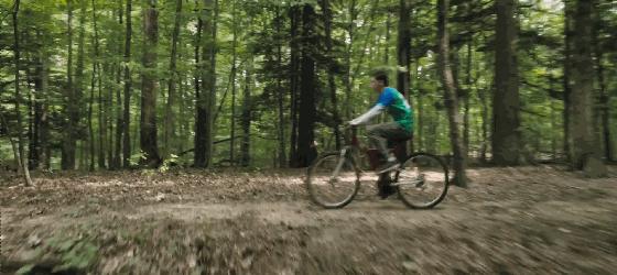 寄生虫解说完整版细思极恐,寄生虫美国电影