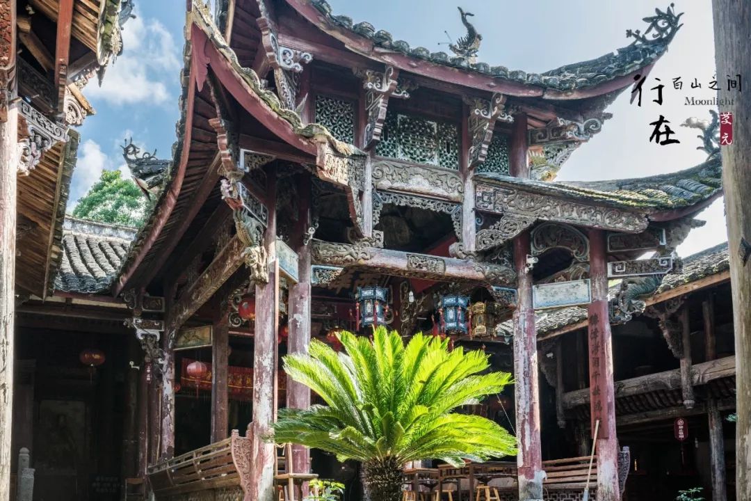 比乌镇安静比南浔古朴,藏不住了这里有最炫秋色