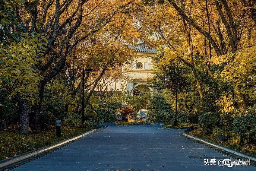 青剑湖新楼盘即将开盘,青剑湖新楼盘最新消息