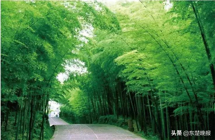 黄石五一自驾游2天1夜,冬天黄石周边自驾一日游攻略