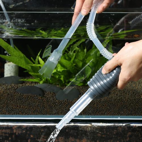 观赏鱼打什么药水消毒比较好,给观赏鱼可以用紫药水吗