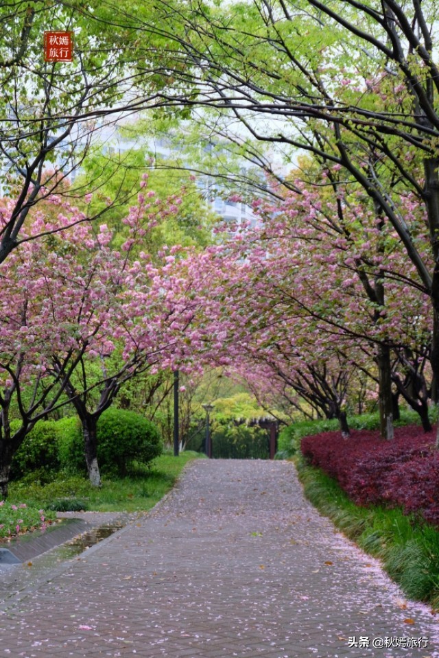 春雨菲菲游常熟滨江公园，浒浦江边品江鲜，23道菜共720元贵吗？