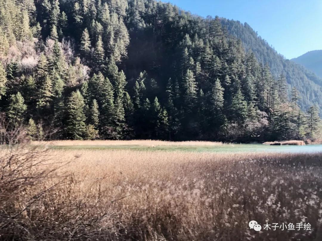 2021九寨沟官方视频,九寨沟跨年夜