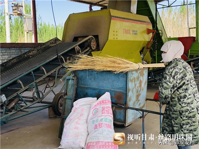 决战脱贫攻坚的微视频,甘肃武威民勤养羊