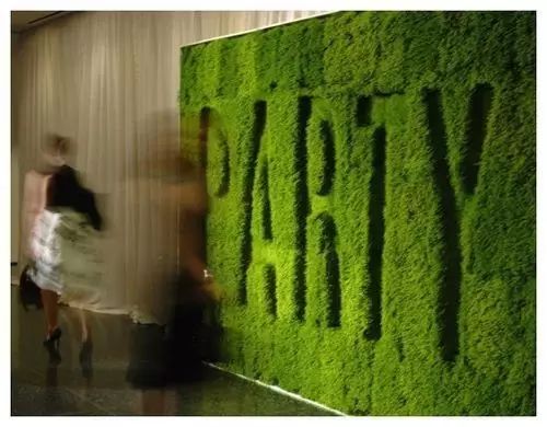 pvc塑料绿植,绿植盆里的塑料