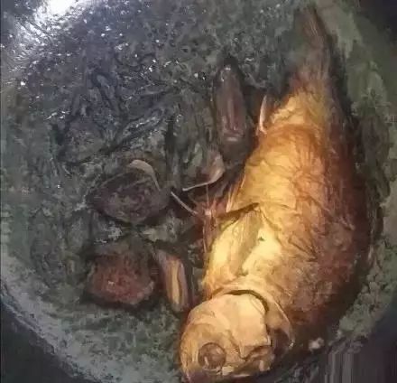 请广大“师奶”引以为戒，打死都不要让你老公入厨房