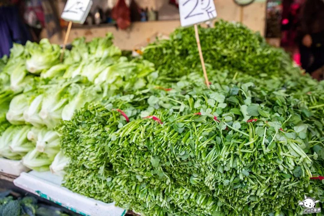 广州沙园菜市场价格,广州沙园菜市场水果