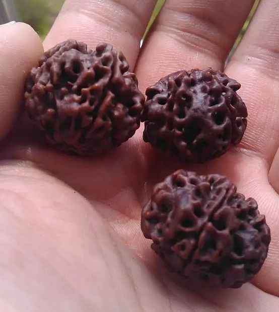 神明液体+鸡蛋+核桃油+白醋！上锅焖2个小时！让人大吃一惊