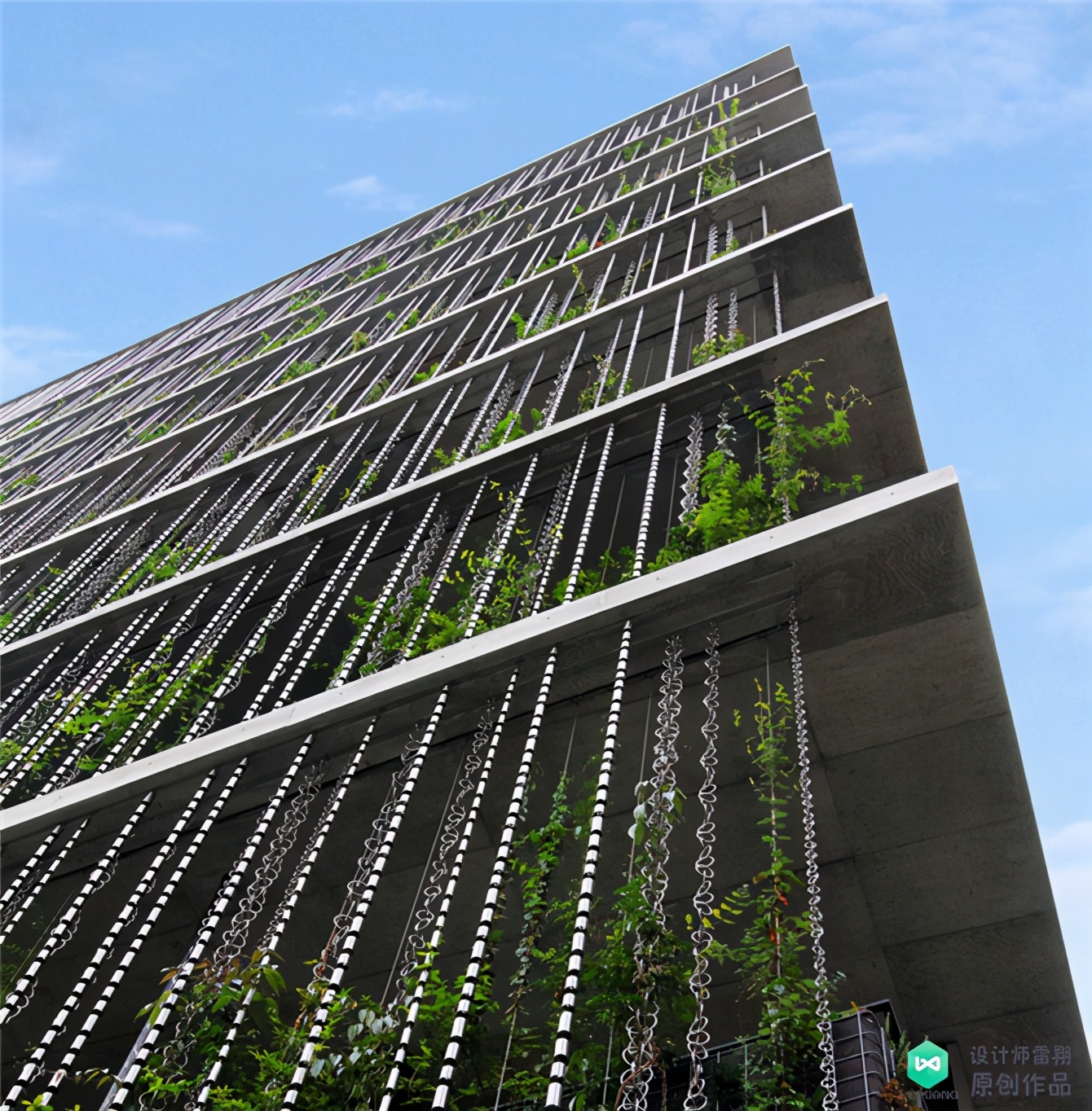 为什么要在屋顶放导雨链,为什么要在伞上绑瓦片