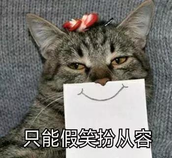 养了九年的猫突然对我有攻击性,养了两年的猫对我特别防备