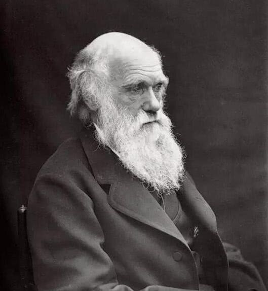 地球上有史以来最大的软体动物,软体动物有哪些常见的