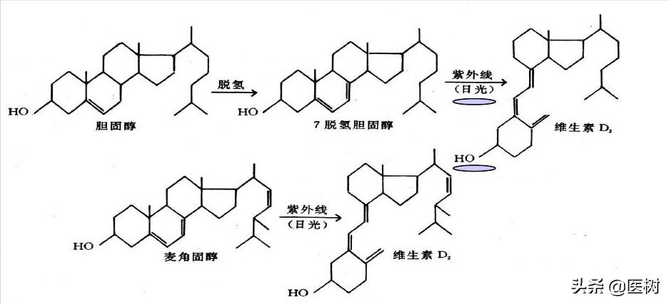 科普各种维生素的作用与功效,维生素医学知识科普视频