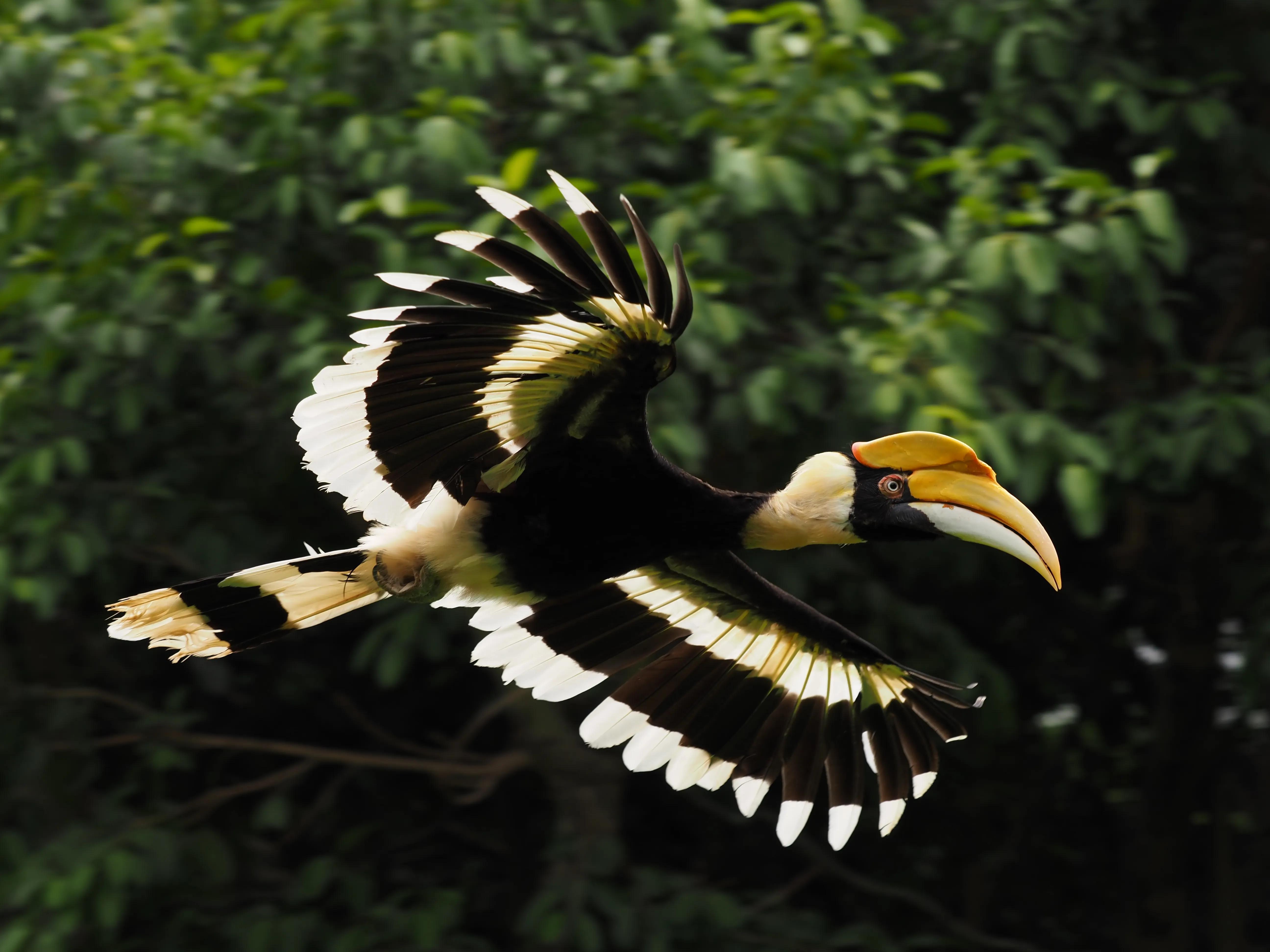 奥林巴斯停产m43镜头,奥林巴斯m43是全画幅吗