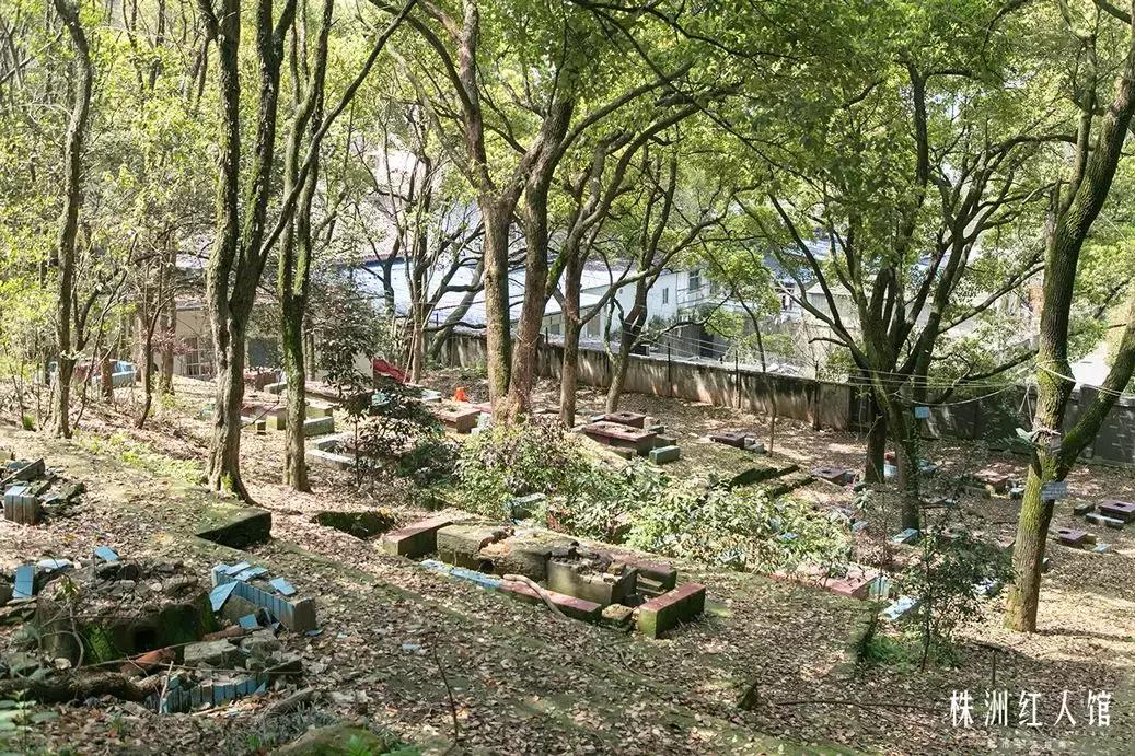 株洲神农公园老照片,株洲市神农公园