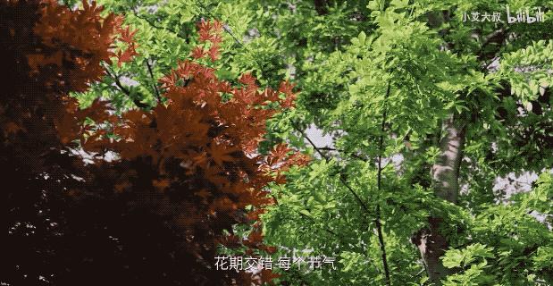 杭州中式豪宅红木,杭州红木家具别墅