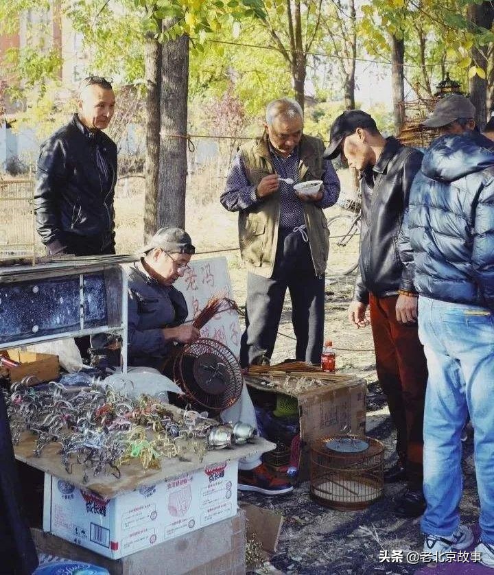 北京男的多少岁能办灵活就业,北京哪个大学男生最多