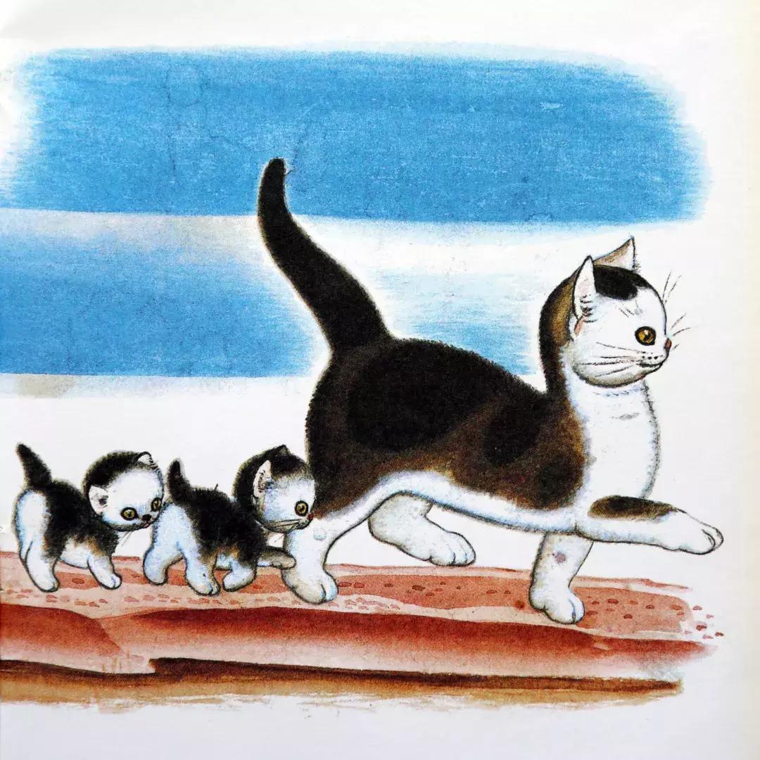 为什么要看绘本羞答答的小猫,幼儿绘本孤独的小猫推荐理由