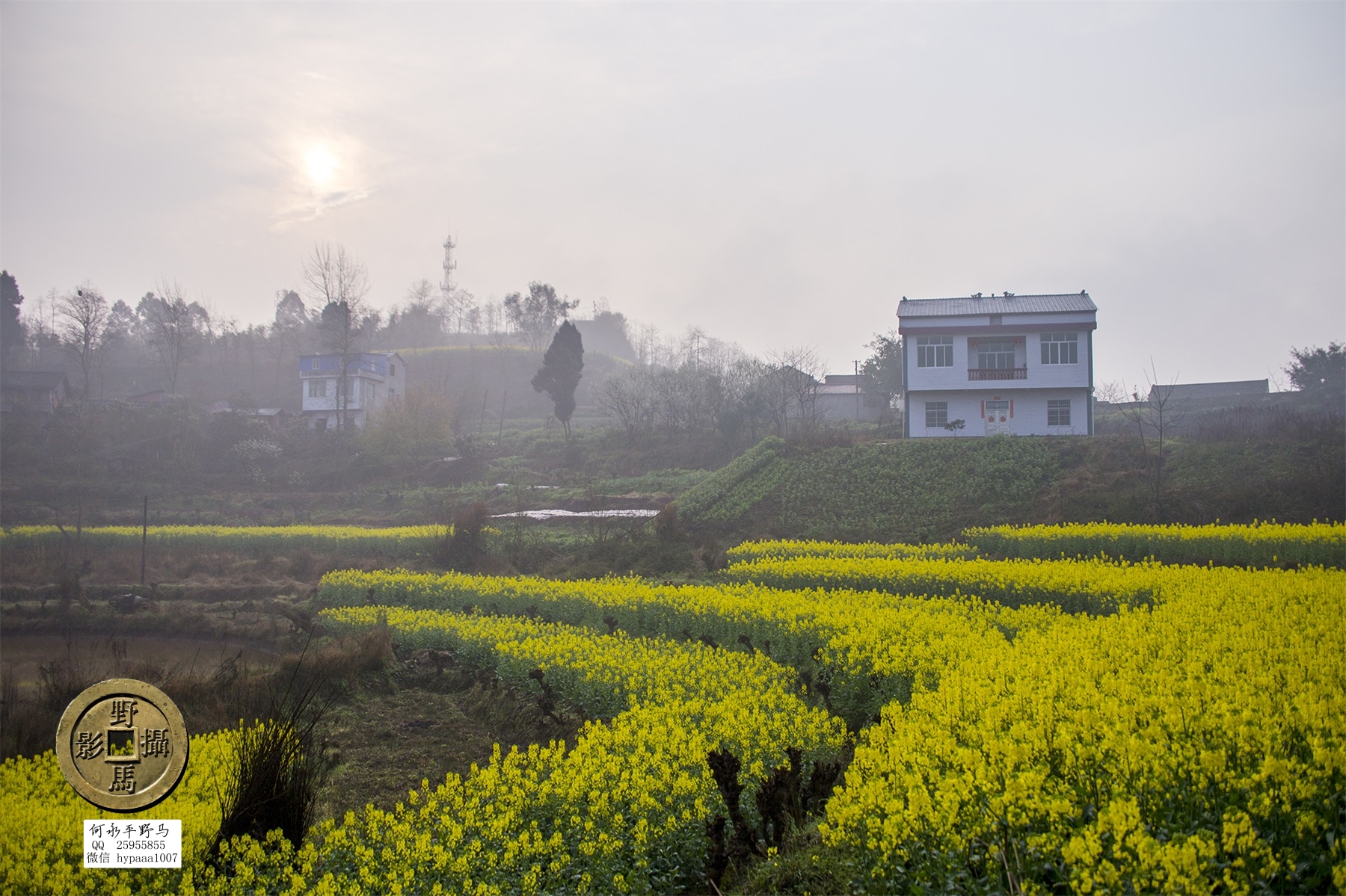 广安撤县名单查询,70年广安县有多少个人民公社