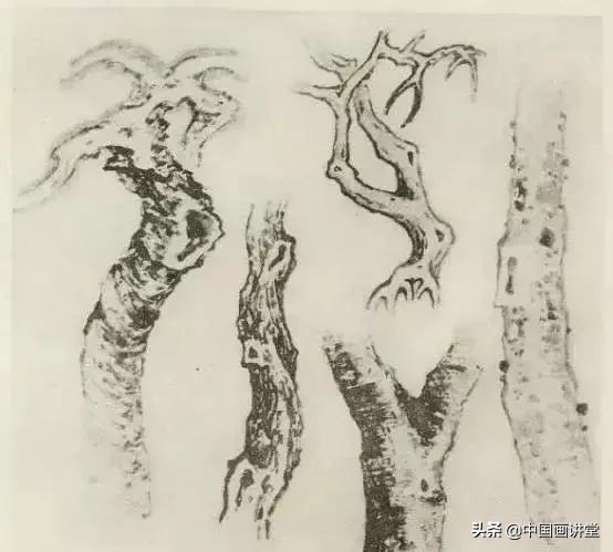 缠枝、挺杆、屈节、钮裂、一棵树如何画?看了这篇你绝对能学会