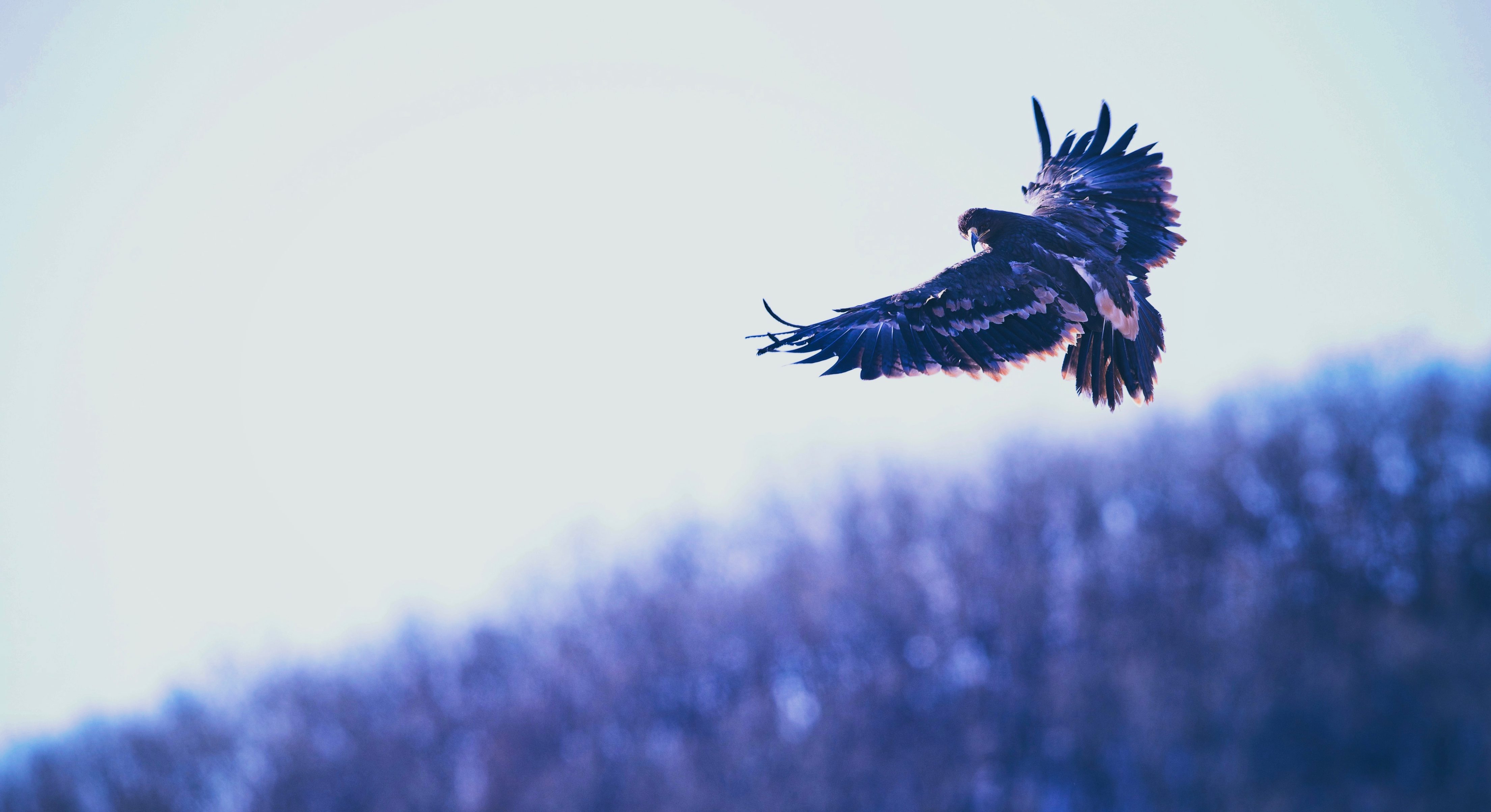 薪资比较好的兼职有哪些,有哪些可兼职且收入高的行业