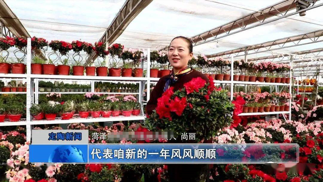 我,50岁,山东女人,老公生意失败欠款1000万,我种花帮他还债