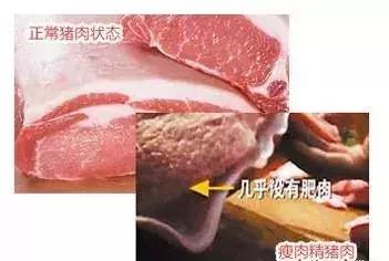 “瘦肉精”屡禁不止，有没有好办法去除瘦肉精