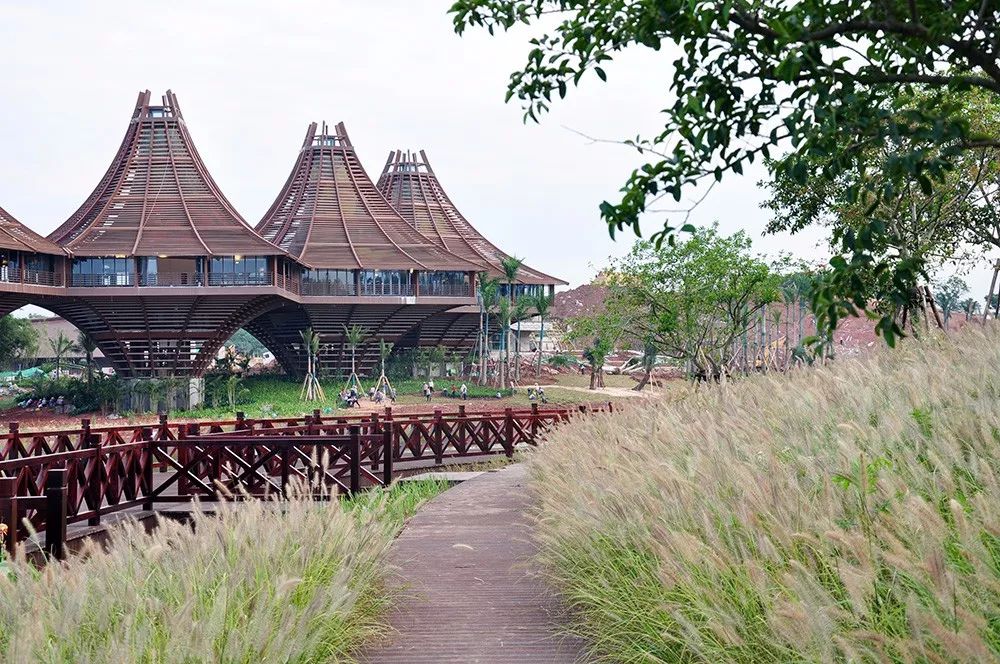 鍘氱Н钖勫彂2016,鍘氱Н钖勫彂2021