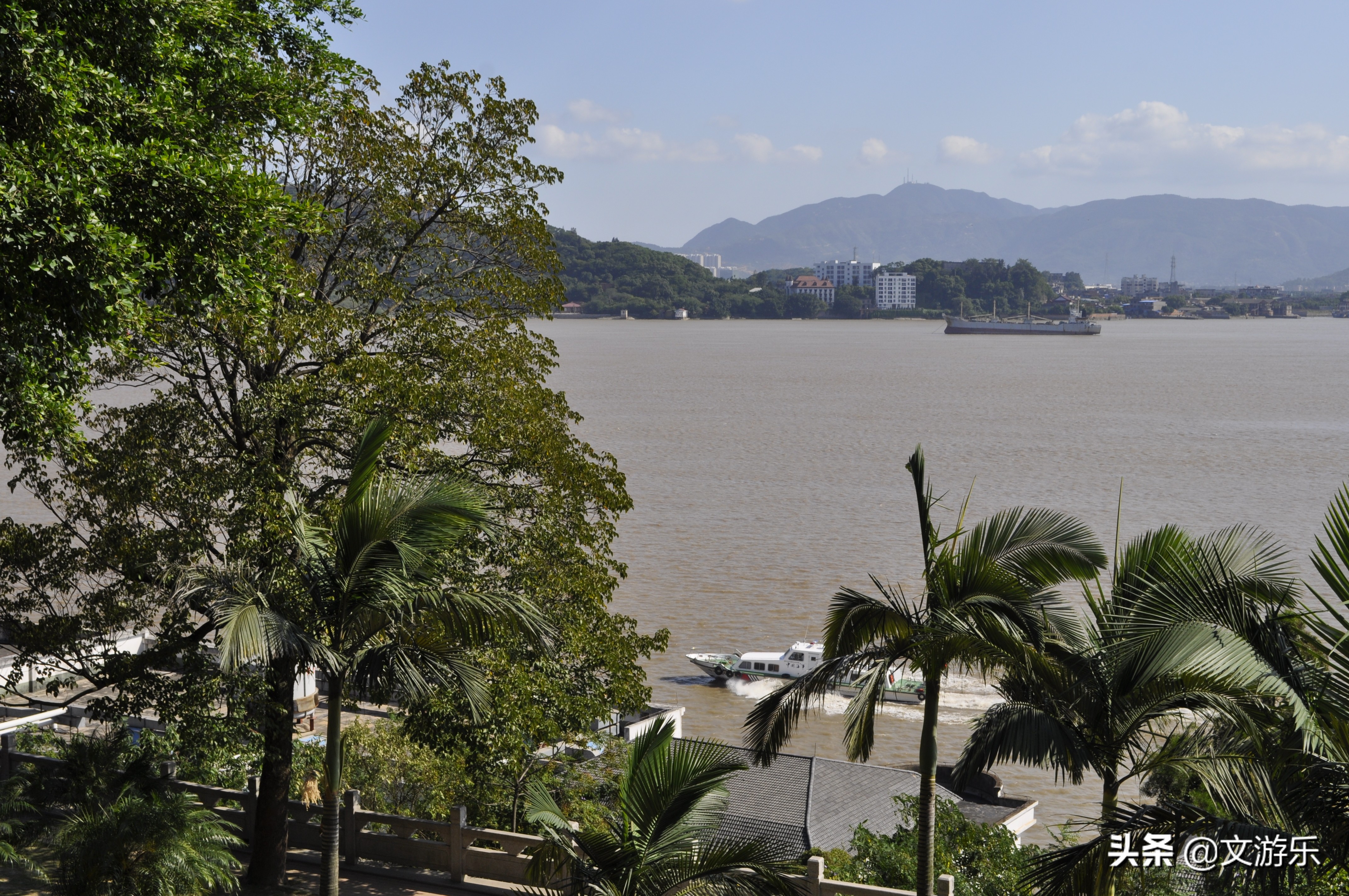 马尾有什么涵义,马尾是鬃毛吗