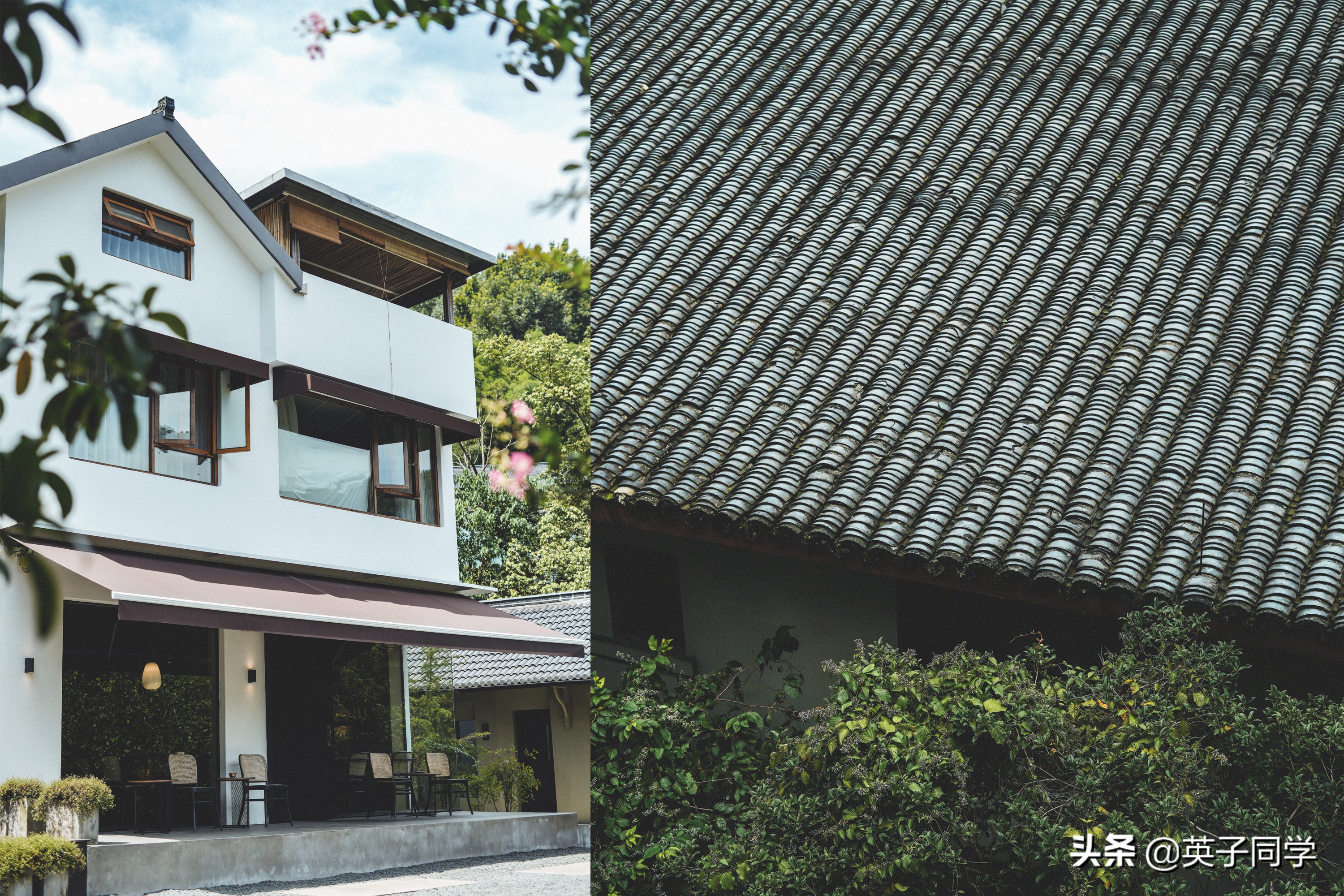 杭州小京都茅草屋,杭州茶文化主题民宿