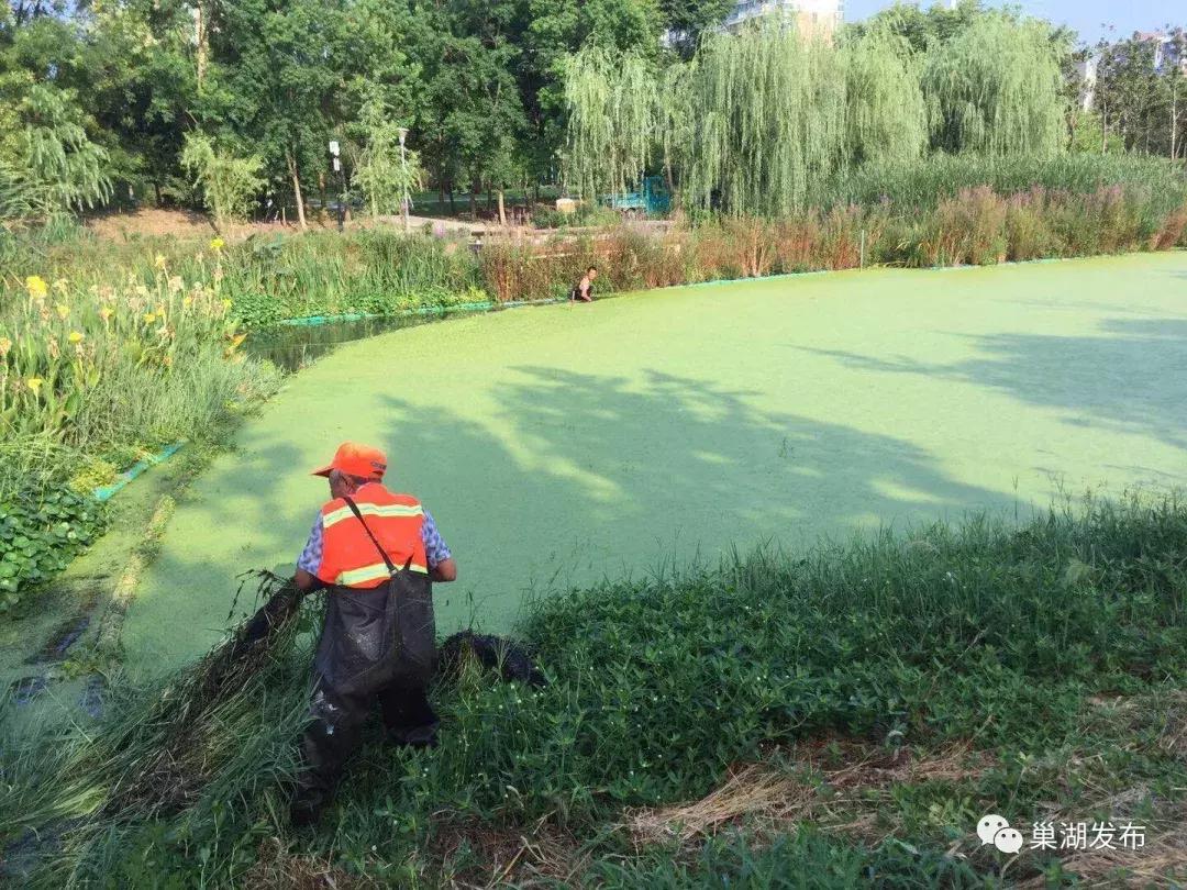 有温度的城管点赞视频,城管队员高温下坚守工作