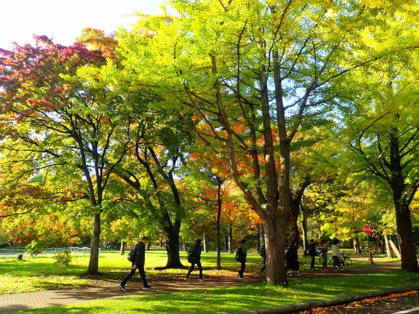 从南到北游日本之北海道札幌