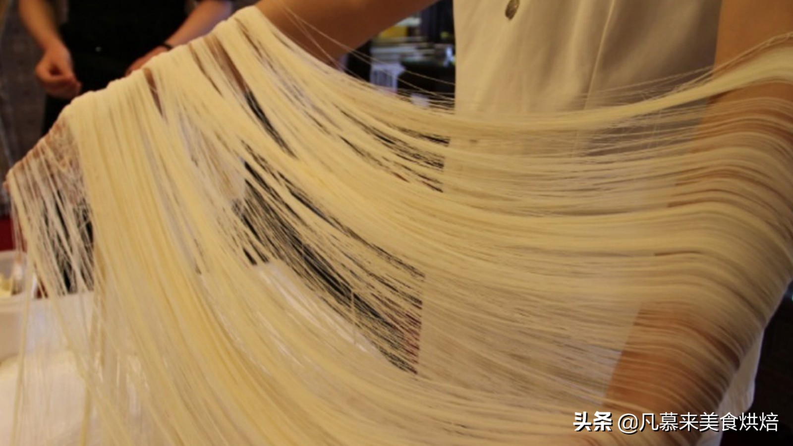 中国面条500种在线阅读,中国面条种类最多的省