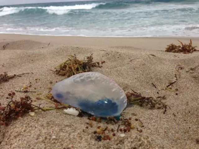 去泰国为什么不能进2楼酒吧,去泰国为什么不能坐摩托车