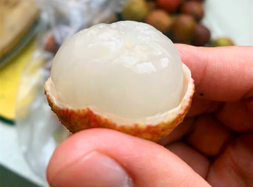 买荔枝买圆的还是尖的,荔枝不要碰的品种