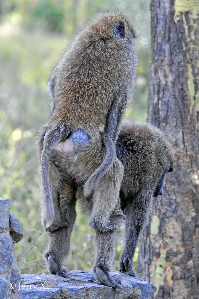 情人节适合干什么事,情人节对方做过最让你感动的事