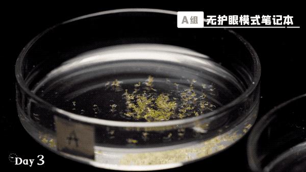 笔记本电脑抗蓝光和护眼屏的区别,防蓝光护眼电脑屏幕真的能有效吗