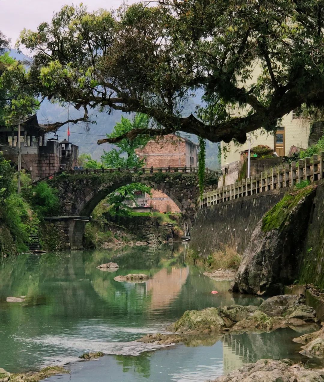 探访悬崖峭壁,大峡谷绝壁长廊