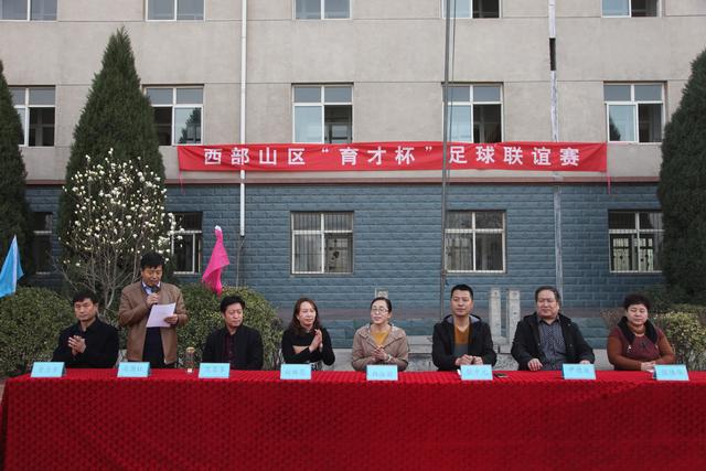 绿茵点亮梦想的图片,绿茵点亮梦想足球