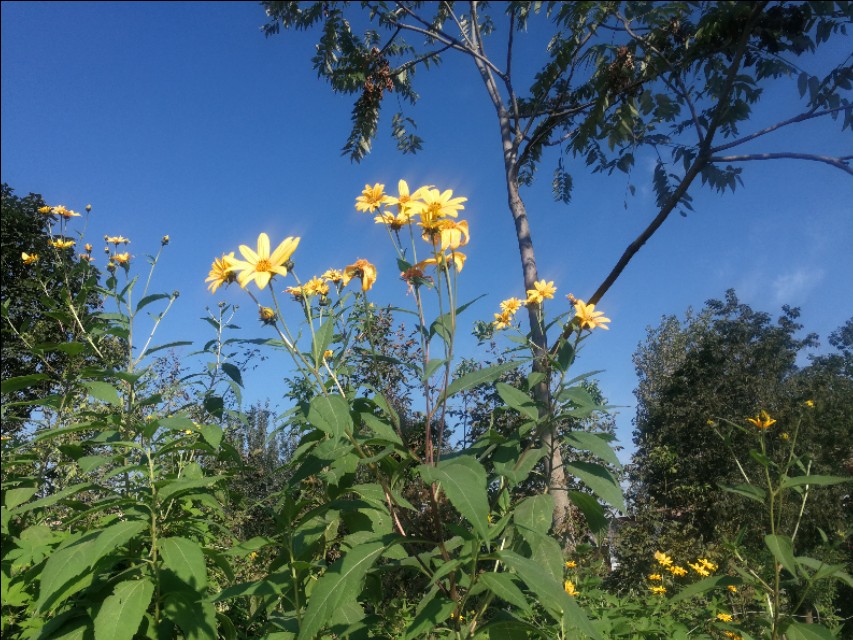 读对话，学英语习惯用语,1