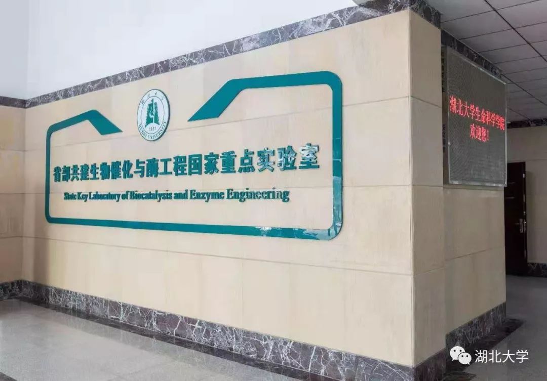 2023年考研报考人数继续飙升,考研关注